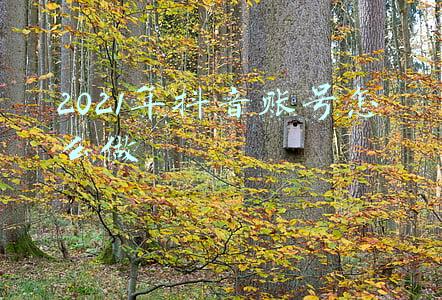 2021年抖音账号怎么做