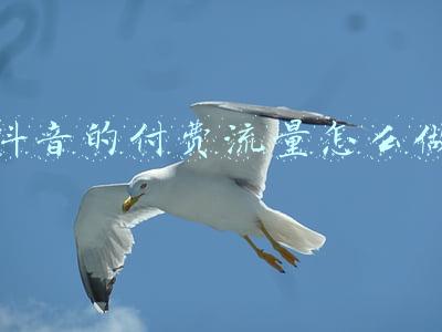 抖音如何花钱买流量(抖音小店无货源，获取流量的方式，新手必看？)