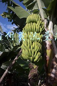 抖音的付费流量怎么做