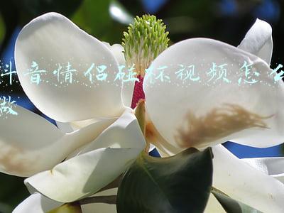 碰杯音效(游戏音效中环境音效分类)