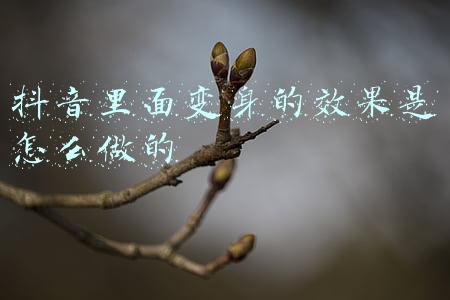 抖音里面变身的效果是怎么做的