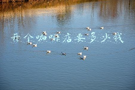 开咖啡店的成本预算：咖啡店开店成本