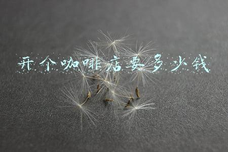 开个咖啡店投资多少钱_开一间咖啡店要多少钱