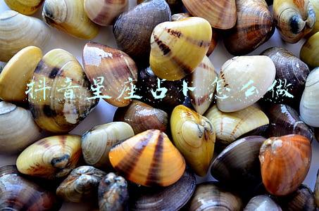 抖音星座占卜怎么做