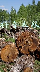照片换衣服软件(手机修图，一键换色！会了这招，男朋友再也不担心我乱买衣服了)