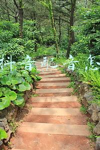 抖音拜年视频怎么制作(春节如何用手机给家人和朋友拜年)