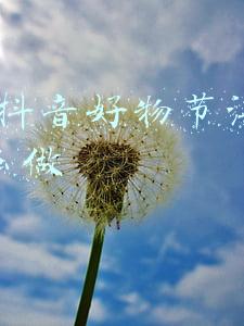 818抖音好物节海报怎么做