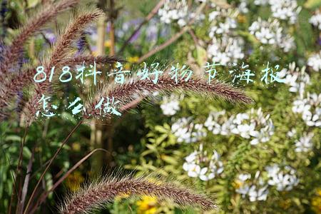 818抖音好物节海报怎么做