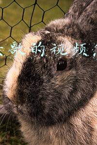 抖音录歌的视频怎么做的