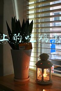 抖音上的吃鸡主播(抖音最受欢迎的10位网红，彭十六排名第四，一条小团团一骑绝尘)
