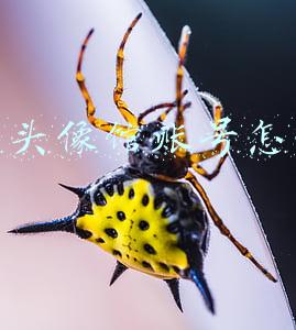 抖音文案馆头像怎么做(抖音头像：今天最火头像)
