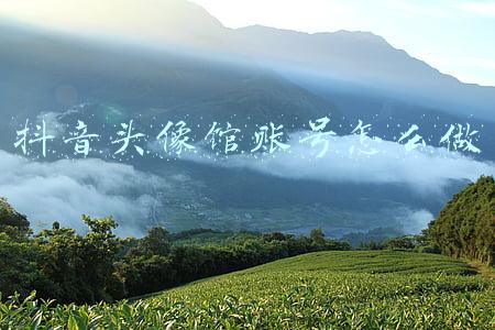 抖音头像馆账号怎么做