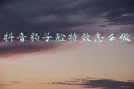 抖音豹子脸特效怎么做