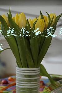 抖音粉丝怎么变现具体怎么做