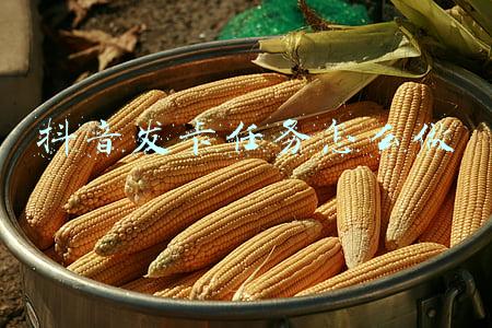 抖音白号自动发卡平台(什么鬼！10多万人集中过生日换积分？ 原是有人冒充天猫会员虚假交易获7亿多积分牟利700万)