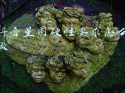 抖音开通星图步骤(抖音星图达人怎么开通西瓜传播任务？附流程)