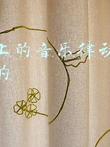 抖音上的音乐律动是怎么做的