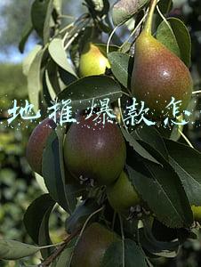 抖音地推爆款怎么做