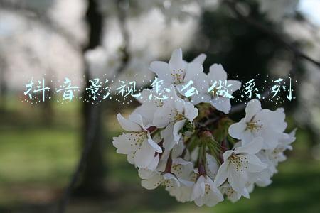 抖音系列视频怎么弄(抖音联合少年儿童出版社推出《十万个为什么》系列短视频)