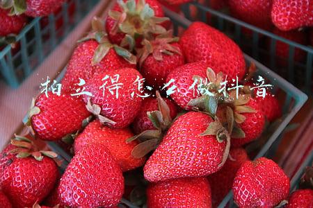 抖音拍立得软件(速度收藏！新手入门抖音的8大避坑指南)