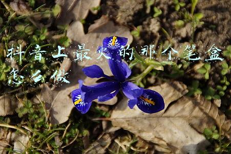 抖音上最火的那个笔盒怎么做