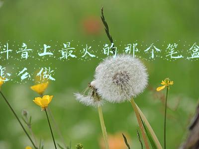 抖音上最火的那个笔盒怎么做