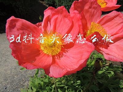 3d签名头像在线生成器(十月你的头像多久没换了，35张3D精选个性签名头像，有你的名字吗)