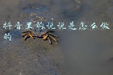 抖音里的说说是怎么做的