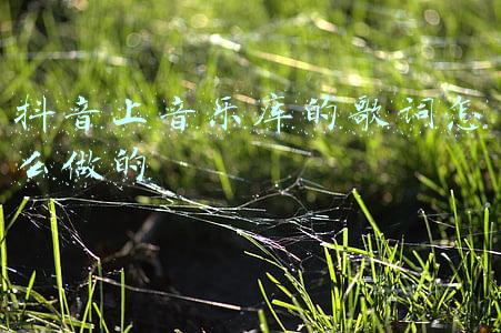 抖音怎样有歌词(抖音在屏幕上写字视频怎么拍教程 用什么特效道具介绍)