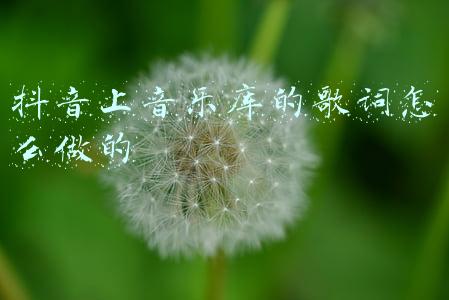 抖音上音乐库的歌词怎么做的