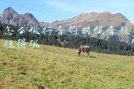 怎么做抖音的时候音频短得很