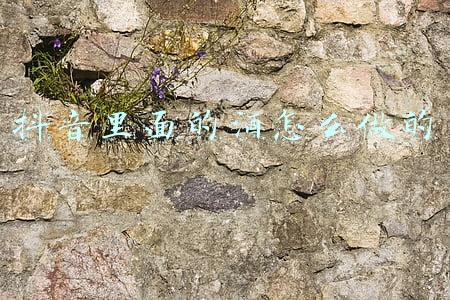 抖音里面的酒怎么做的