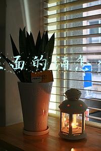 抖音里面的酒怎么做的
