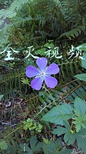 抖音灯全灭视频怎么做的