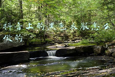 抖音里那个跳舞的黑色衣服(火爆抖音的动漫摇黑衣少女太惊艳？她仅是喵斯快跑女团中的一员)