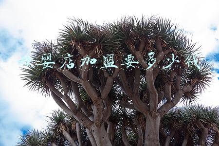 母婴店投资多少钱《母婴店投资多少钱利润是多少》