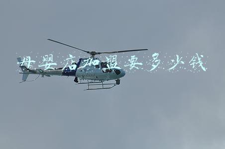 加盟一家母婴店《加盟母婴店需要多少钱?》