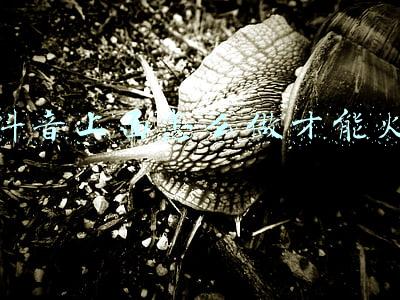 想在抖音火要怎么做(抖音上热门的5大诀窍分享，让你轻松获得流量)