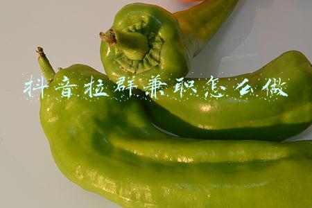 抖音拉群兼职怎么做