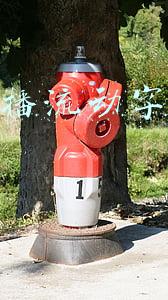 抖音直播滚动字幕怎么弄(拍抖音、快手视频总是记不住台词怎么办？)