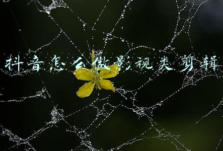 采访类视频怎么剪辑(做自媒体怎么制作短视频？4步带你玩转自媒体影视解说评论)