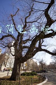 抖音的简笔画视频怎么做