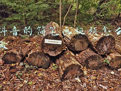 抖音的简笔画视频怎么做