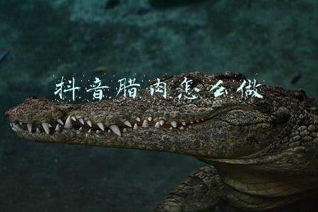 抖音腊肉怎么做