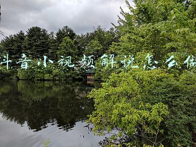 抖音阿三解说视频(​首批国际网红带货达人诞生！“2021中国（四川）出口商品世界播”成功举办)