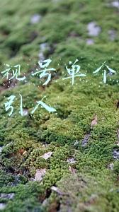单个约等于号(总书记关心的黑土地上，吉林人这样耕耘)
