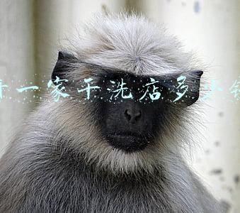 开干洗店需要多少钱《投资一家干洗店大概需要多少钱》