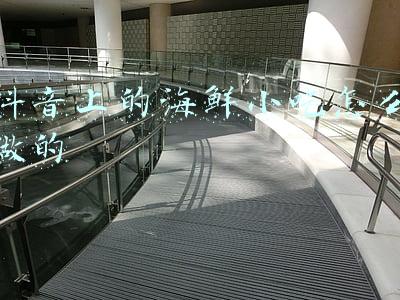 海鲜小吃图片(浙江海鲜有多少种吃法？)