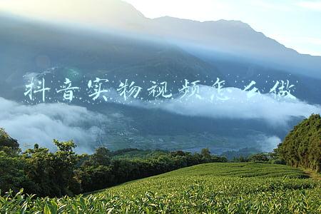 初级实物视频(超全！初级会计实务的100知识点大合集，现在赶紧收藏)