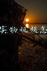 抖音实物视频怎么做